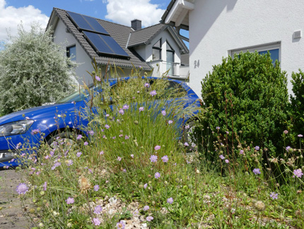 Klimaangepasste Gärten Foto: Klimaangepasste Gärten