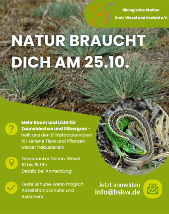Foto: Flyer Mitmachtag