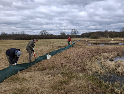 Aufbau eines Krötenzauns