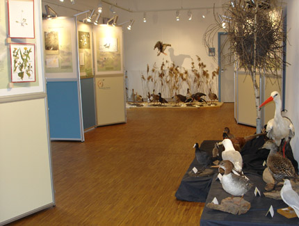 Foto: Ausstellung im Naturschutzzentrum